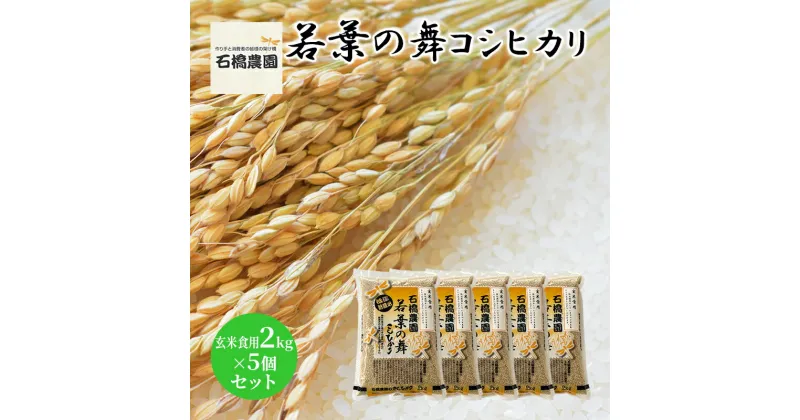 【ふるさと納税】米 若葉の舞 コシヒカリ 玄米食用2kg×5個セット こしひかり セット お米 玄米 千葉 千葉県 低温保存