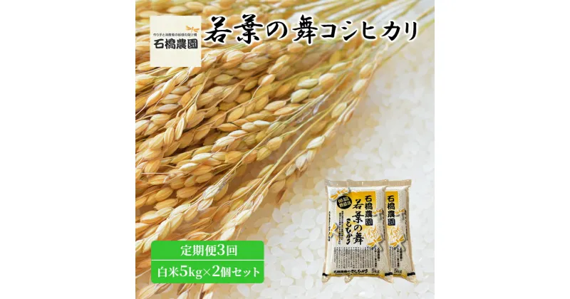 【ふるさと納税】米 若葉の舞 コシヒカリ 白米5kg×2個セット 定期便3回 こしひかり セット 定期便 お米 白米 精米 千葉 千葉県 低温保存　定期便