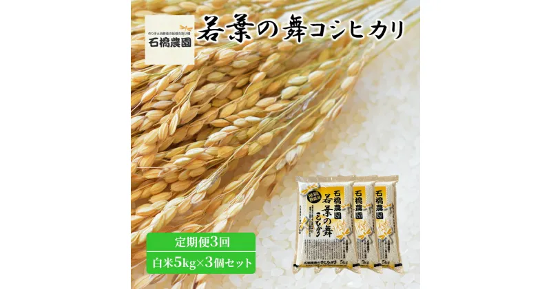 【ふるさと納税】米 若葉の舞 コシヒカリ 白米5kg×3個セット 定期便3回 こしひかり セット 定期便 お米 白米 精米 千葉 千葉県 低温保存　定期便