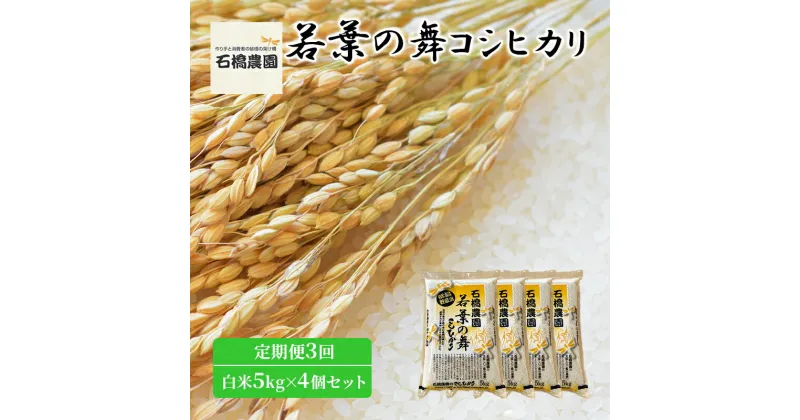 【ふるさと納税】米 若葉の舞 コシヒカリ 白米5kg×4個セット 定期便3回 こしひかり セット 定期便 お米 白米 精米 千葉 千葉県 低温保存　定期便