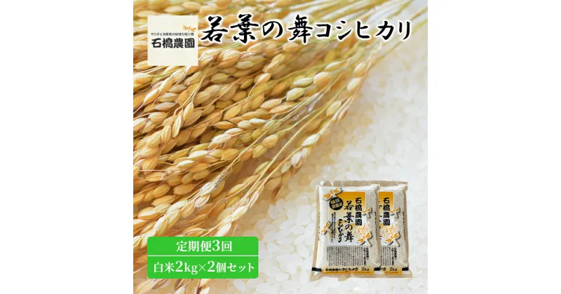 【ふるさと納税】米 若葉の舞 コシヒカリ 白米2kg×2個セット 定期便3回 こしひかり セット 定期便 お米 白米 精米 千葉 千葉県 低温保存　定期便