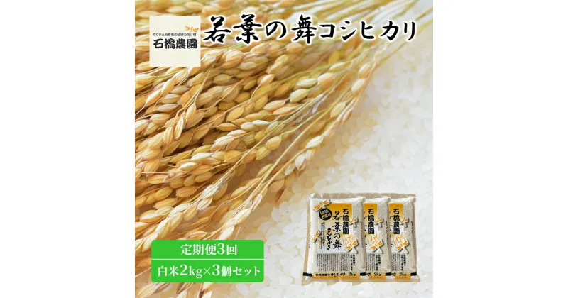 【ふるさと納税】米 若葉の舞 コシヒカリ 白米2kg×3個セット 定期便3回 こしひかり セット 定期便 お米 白米 精米 千葉 千葉県 低温保存　定期便