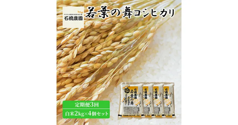 【ふるさと納税】米 若葉の舞 コシヒカリ 白米2kg×4個セット 定期便3回 こしひかり セット 定期便 お米 白米 精米 千葉 千葉県 低温保存　定期便