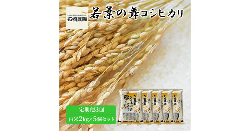 【ふるさと納税】米 若葉の舞 コシヒカリ 白米2kg×5個セット 定期便3回 こしひかり セット 定期便 お米 白米 精米 千葉 千葉県 低温保存　定期便