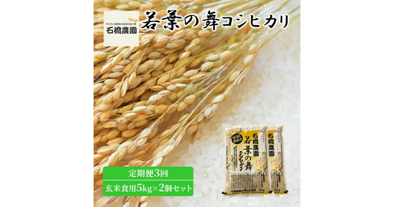 【ふるさと納税】米 若葉の舞 コシヒカリ 玄米食用5kg×2個セット 定期便3回 こしひかり セット 定期便 お米 玄米 千葉 千葉県 低温保存　定期便