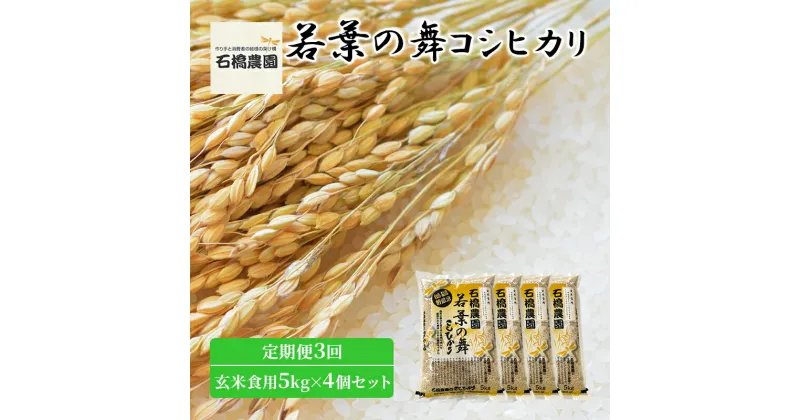 【ふるさと納税】米 若葉の舞 コシヒカリ 玄米食用5kg×4個セット 定期便3回 こしひかり セット 定期便 お米 玄米 千葉 千葉県 低温保存　定期便