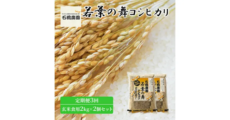 【ふるさと納税】米 若葉の舞 コシヒカリ 玄米食用2kg×2個セット 定期便3回 こしひかり セット 定期便 お米 玄米 千葉 千葉県 低温保存　定期便