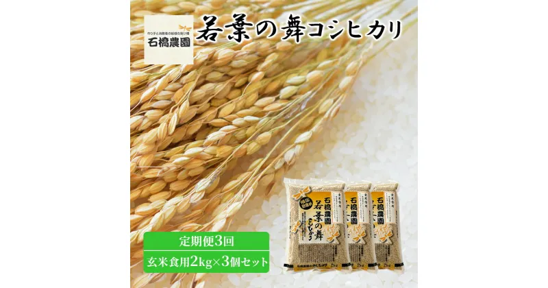 【ふるさと納税】米 若葉の舞 コシヒカリ 玄米食用2kg×3個セット 定期便3回 こしひかり セット 定期便 お米 玄米 千葉 千葉県 低温保存　定期便