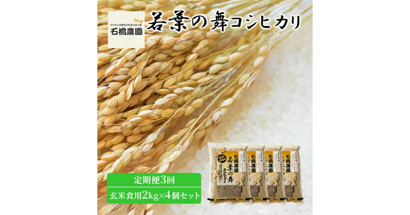 【ふるさと納税】米 若葉の舞 コシヒカリ 玄米食用2kg×4個セット 定期便3回 こしひかり セット 定期便 お米 玄米 千葉 千葉県 低温保存　定期便