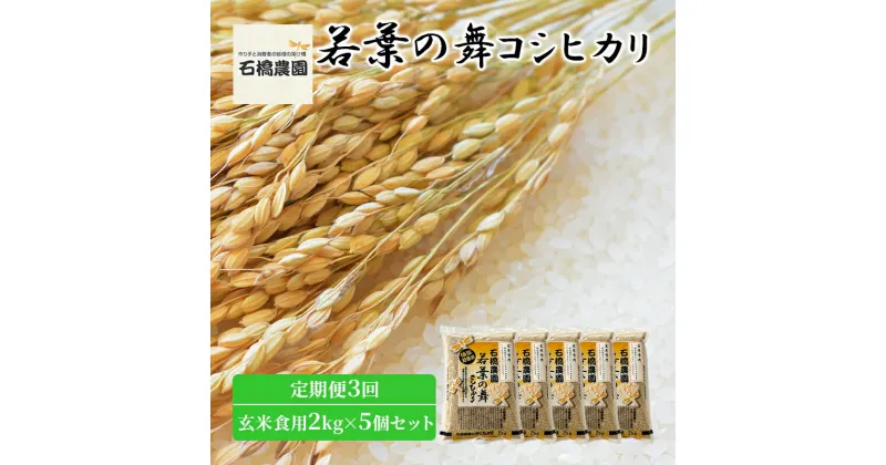 【ふるさと納税】米 若葉の舞 コシヒカリ 玄米食用2kg×5個セット 定期便3回 こしひかり セット 定期便 お米 玄米 千葉 千葉県 低温保存　定期便