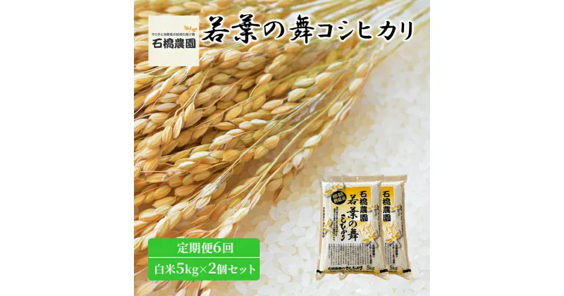 【ふるさと納税】米 若葉の舞 コシヒカリ 白米5kg×2個セット 定期便6回 こしひかり セット 定期便 お米 白米 精米 千葉 千葉県 低温保存　定期便