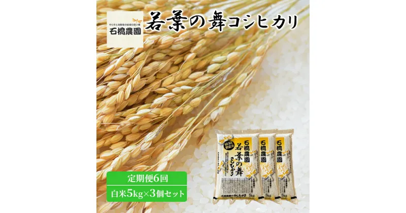 【ふるさと納税】米 若葉の舞 コシヒカリ 白米5kg×3個セット 定期便6回 こしひかり セット 定期便 お米 白米 精米 千葉 千葉県 低温保存　定期便