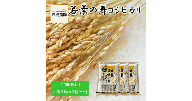 【ふるさと納税】米 若葉の舞 コシヒカリ 白米2kg×3個セット 定期便6回 こしひかり セット 定期便 お米 白米 精米 千葉 千葉県 低温保存　定期便