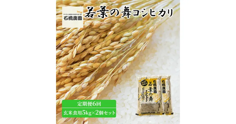 【ふるさと納税】米 若葉の舞 コシヒカリ 玄米食用5kg×2個セット 定期便6回 こしひかり セット 定期便 お米 玄米 千葉 千葉県 低温保存　定期便