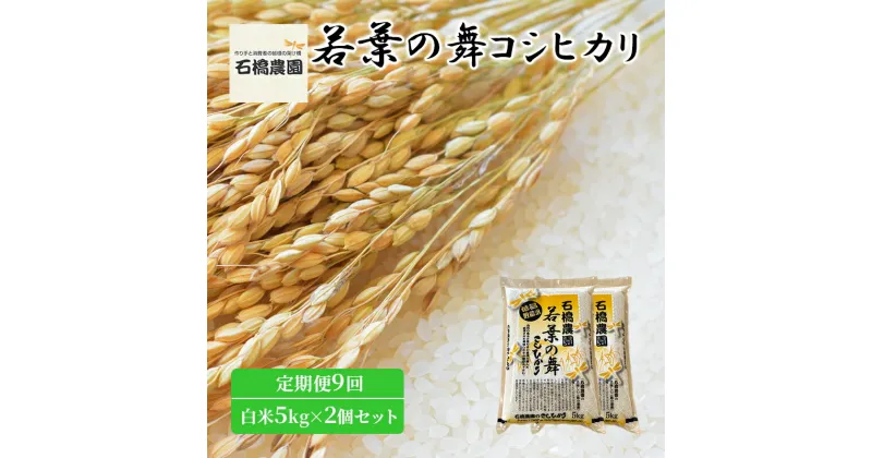 【ふるさと納税】米 若葉の舞 コシヒカリ 白米5kg×2個セット 定期便9回 こしひかり セット 定期便 お米 白米 精米 千葉 千葉県 低温保存　定期便