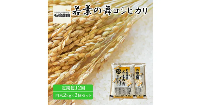 【ふるさと納税】米 若葉の舞 コシヒカリ 白米2kg×2個セット 定期便12回 こしひかり セット 定期便 お米 白米 精米 千葉 千葉県 低温保存　定期便