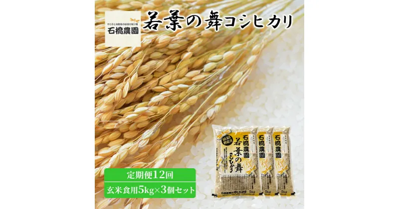 【ふるさと納税】米 若葉の舞 コシヒカリ 玄米食用5kg×3個セット 定期便12回 こしひかり セット 定期便 お米 玄米 千葉 千葉県 低温保存　定期便