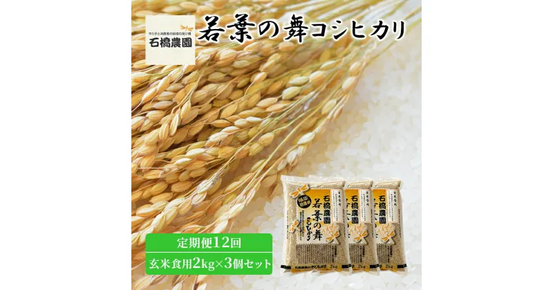 【ふるさと納税】米 若葉の舞 コシヒカリ 玄米食用2kg×3個セット 定期便12回 こしひかり セット 定期便 お米 玄米 千葉 千葉県 低温保存　定期便