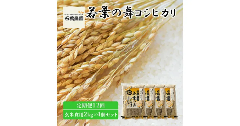 【ふるさと納税】米 若葉の舞 コシヒカリ 玄米食用2kg×4個セット 定期便12回 こしひかり セット 定期便 お米 玄米 千葉 千葉県 低温保存　定期便