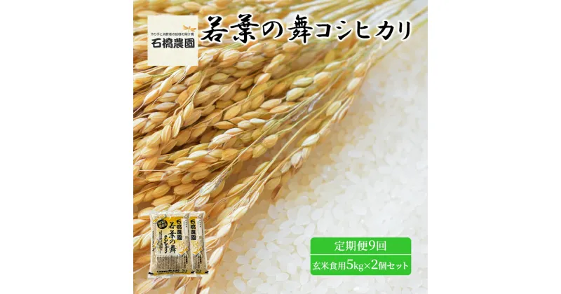 【ふるさと納税】米 若葉の舞 コシヒカリ 玄米食用5Kg×2個セット 定期便9回 こしひかり セット お米 玄米 千葉 千葉県 低温保存　定期便