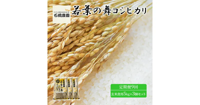 【ふるさと納税】米 若葉の舞 コシヒカリ 玄米食用5Kg×3個セット 定期便9回 こしひかり セット お米 玄米 千葉 千葉県 低温保存　定期便