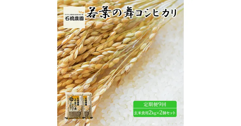 【ふるさと納税】米 若葉の舞 コシヒカリ 玄米食用2Kg×2個セット 定期便9回 こしひかり セット お米 玄米 千葉 千葉県 低温保存　定期便