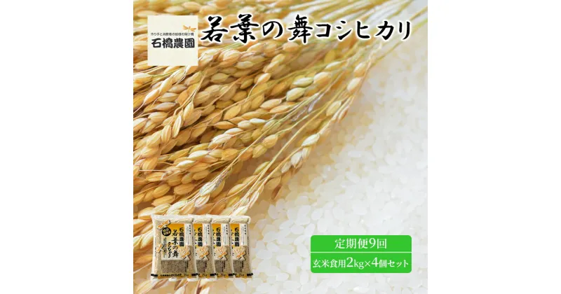 【ふるさと納税】米 若葉の舞 コシヒカリ 玄米食用2Kg×4個セット 定期便9回 こしひかり セット お米 玄米 千葉 千葉県 低温保存　定期便