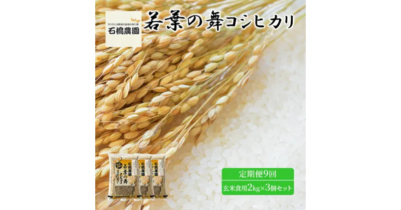 【ふるさと納税】米 若葉の舞 コシヒカリ 玄米食用2Kg×3個セット 定期便9回 こしひかり セット お米 玄米 千葉 千葉県 低温保存　定期便