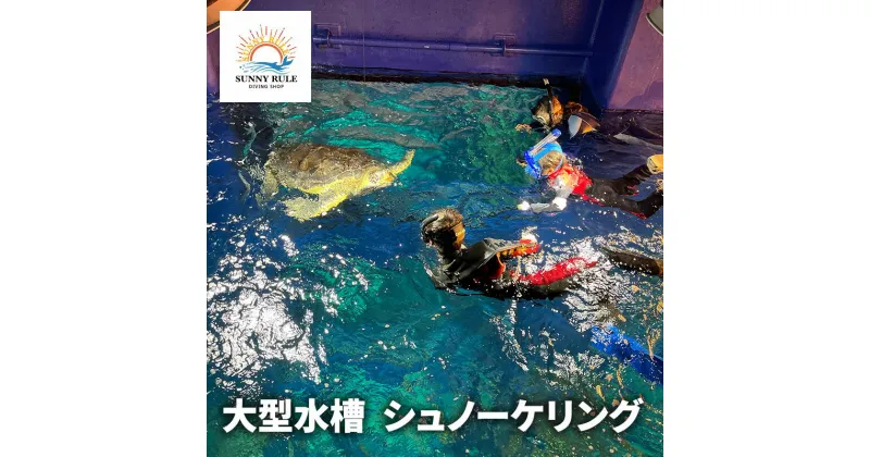 【ふるさと納税】大型水槽 シュノーケリング 体験 チケット クーポン ウミガメ 水槽 千葉市