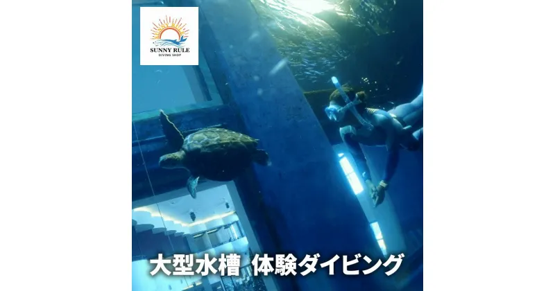 【ふるさと納税】大型水槽 体験ダイビング 体験 チケット クーポン ウミガメ 水槽 千葉市