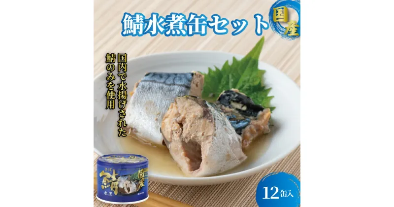 【ふるさと納税】 国産サバ水煮12缶 190g×12缶 さば 鯖 水煮 さば水煮 鯖水煮 缶詰 魚 海鮮 魚介 魚介類 保存食 非常食 防災 災害 食料 キャンプ BBQ 常温 長期保管 ローリングストック 備蓄 おかず おつまみ 惣菜 ご飯 青魚 健康 美容 送料無料 千葉県 銚子市 信田缶詰