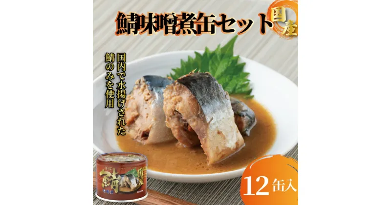 【ふるさと納税】 国産鯖味噌煮12缶セット 190g×12缶 さば 鯖 サバ 味噌煮 さば味噌煮 鯖味噌煮 サバ味噌煮 味噌煮缶 缶詰 グルメ お取り寄せ 保存食 非常食 防災 キャンプ 常温 ローリングストック 備蓄 セット 青魚 健康 美容 信田缶詰 千葉県 銚子市 ※着日指定不可