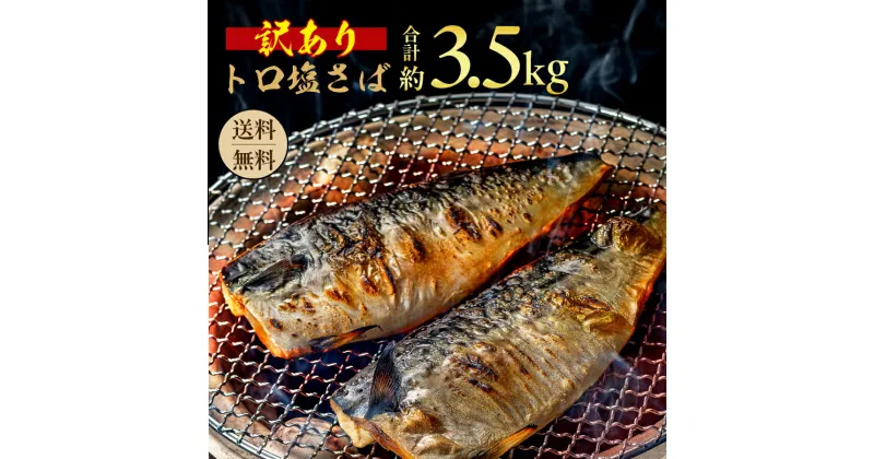 【ふるさと納税】 訳あり トロ 塩さば 3.5kg 大盛り 千葉 銚子 塩鯖 おかず おつまみ 酒 あて 海鮮 魚 飯田商店 ※北海道、沖縄、離島への配送不可