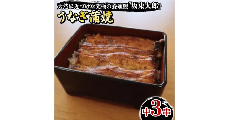 【ふるさと納税】 うなぎ坂東太郎 蒲焼 中3串 うなぎ 坂東太郎 蒲焼 グルメ 鰻 加工品 レトルト 惣菜 人気 おすすめ 簡単調理 真空パック お取り寄せ グルメ ギフト お土産 土用の丑の日 お中元 贈答 プレゼント 贈り物 食品 うな重 魚貝 冷凍 送料無料 千葉県 銚子市 忠平