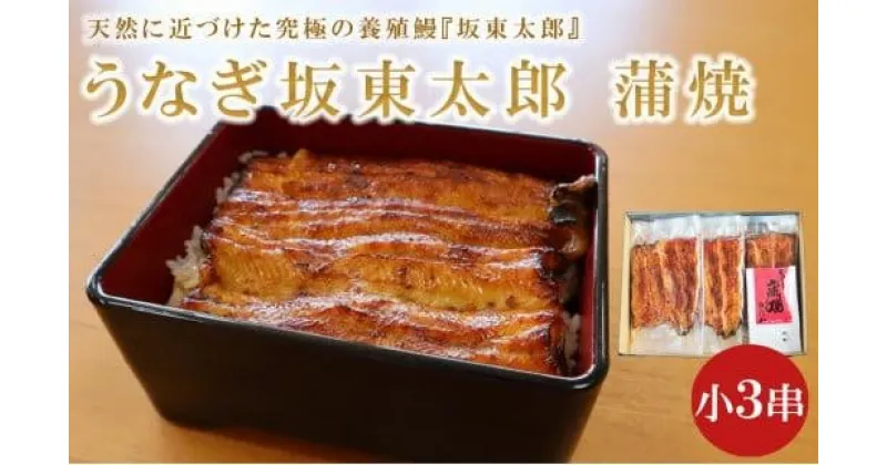 【ふるさと納税】 うなぎ坂東太郎 蒲焼 小3串 うなぎ 蒲焼 グルメ 鰻 ウナギ ブランド 冷凍 加工品 惣菜 セット お取り寄せ 真空パック 美味しい