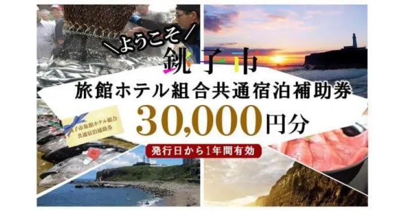 【ふるさと納税】銚子市旅館ホテル組合共通宿泊補助券30,000円分