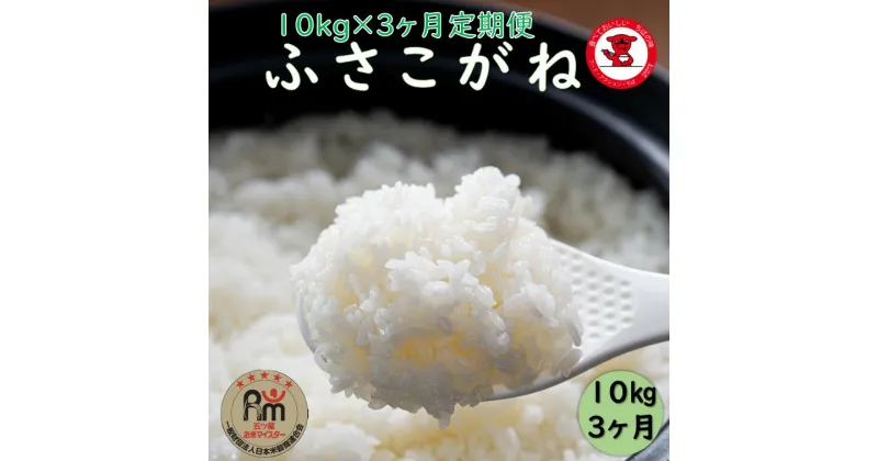 【ふるさと納税】 3ヶ月 定期便 ふさこがね 10kg （5kg×2袋） 米 白米 お米 おこめ ご飯 ごはん ふさこがね 国産 千葉県 銚子市 根本商店 お弁当 おにぎり 朝食 昼食 夕食 お取り寄せ グルメ 食品 災害 防災 ギフト 贈り物 贈答 プレゼント 送料無料 宅配