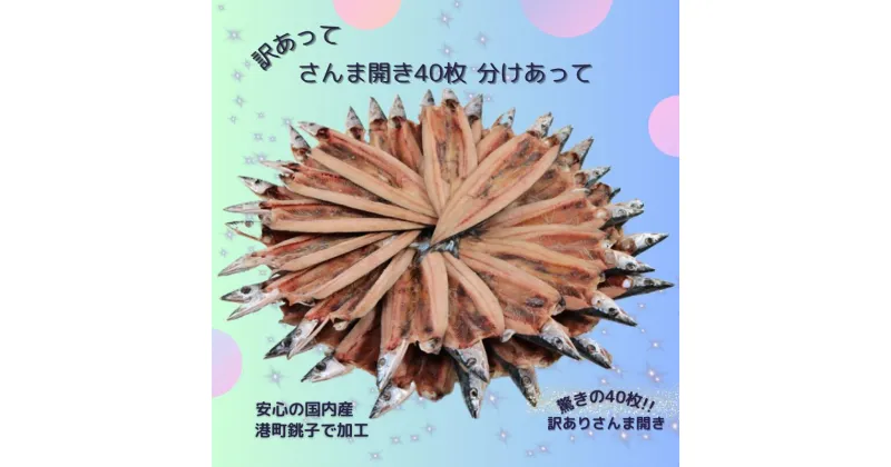 【ふるさと納税】 訳あり さんま 40枚 開き 秋刀魚 訳あって 分け合って さんま開き 国産 北海道 産 小分け 冷凍 干物 魚 海鮮 魚介 大容量 保存食 人気 グルメ お取り寄せ 贈答 プレゼント 贈り物 バーベキュー 11000円 11,000円 送料無料 千葉県 銚子市 ヤマニンベン