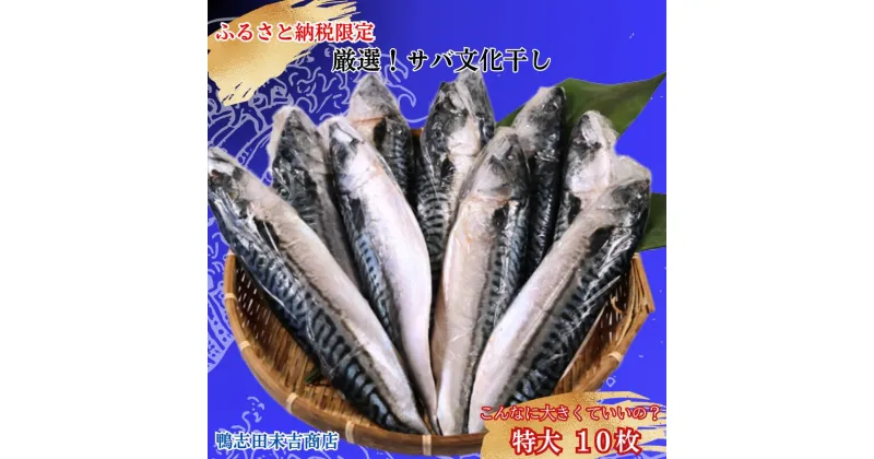 【ふるさと納税】 サバ文化干し 特大 サイズ 10枚 ！ ふるさと納税限定 工場直送 サバ さば 鯖 さば文化 サバ文化 さば文化干し サバ文化干し 文化干し 塩サバ 塩鯖 塩 海鮮 焼き鯖弁当 銚子 冷凍 お取り寄せ 千葉県 銚子市