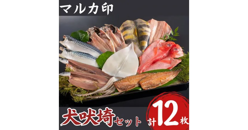 【ふるさと納税】マルカ印 犬吠埼セット 千葉県 銚子市 いか あじ さば さんま ほっけ つりきんめ