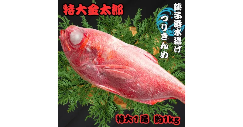 【ふるさと納税】 銚子釣り金目 特大金太郎 約1kg 金目鯛 銚子 新鮮 銚子港水揚げ 瞬間冷凍 つりきんめ キンメ 釣り きんめ キンメダイ きんめだい おさしみ 刺し身 煮つけ 海鮮料理 千葉県 銚子市