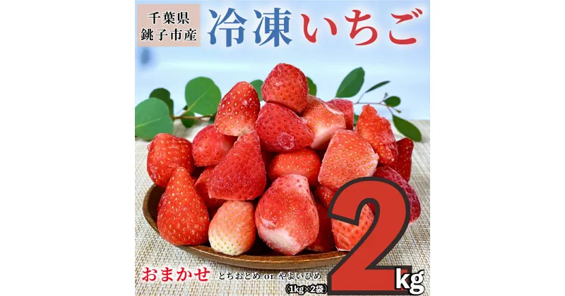 【ふるさと納税】 （先行予約）冷凍いちご 2kg （ 1kg × 2 ） とちおとめ やよいひめ 冷凍イチゴ 神原いちご園 銚子産 苺 いちご イチゴ 真空パック 冷凍 冷凍フルーツ カットフルーツ フルーツ ジャム スムージー 便利 簡単 千葉県 銚子市