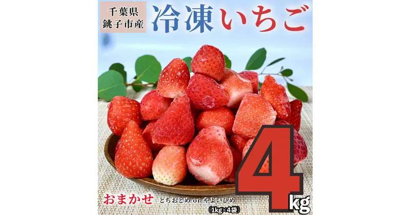 【ふるさと納税】（先行予約） 冷凍いちご 4kg （ 1kg × 4 ） とちおとめ やよいひめ 冷凍イチゴ 神原いちご園 銚子産 苺 いちご イチゴ 真空パック 冷凍 冷凍フルーツ カットフルーツ フルーツ ジャム スムージー 便利 簡単 千葉県 銚子市