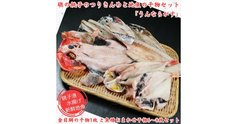 【ふるさと納税】 礁のつりきんめの干物と銚子の地魚干物セット「うんならがす」金目鯛の干物1枚と魚種おまかせ干物6～8枚セット 無添加 地魚 個包装 詰め合わせ つりきんめ 金目鯛 きんめだい きんめ ほうぼう かます のどぐろ あじ さば いわし 等 鯵 鯖 鰯 千葉県 銚子市