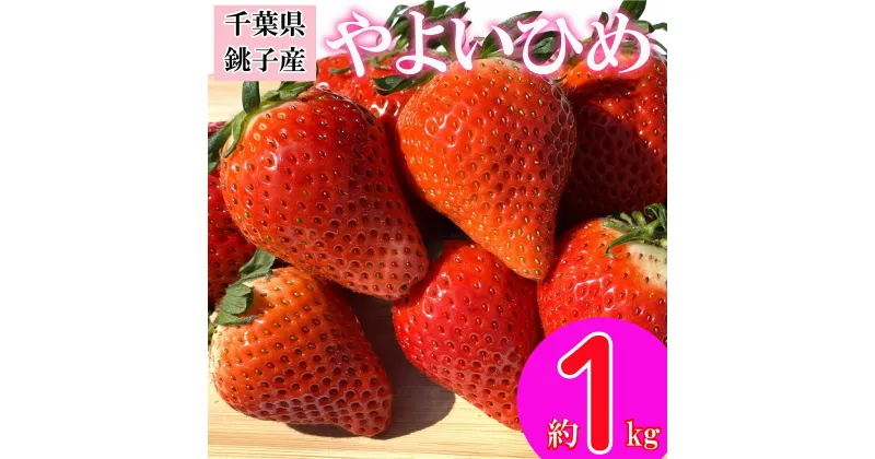 【ふるさと納税】 先行予約 いちご やよいひめ 約1kg （250g×4パック） 苺 ストロベリー 果物 フルーツ ジャム ゼリー ケーキ ジュース いちご大福 苺大福 フルーツサンド ショートケーキ 朝摘み 新鮮 産直 安心 安全 期間限定 送料無料 国産 千葉県 銚子市 神原いちご園