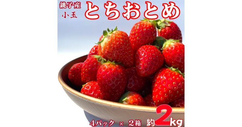 【ふるさと納税】 先行予約 いちご とちおとめ 小玉 約2kg （250g × 8パック） 千葉県 銚子市 松岸 神原いちご園 小玉 とちおとめ 約2kg イチゴ 苺 こだわり 人気 小さいサイズ 食べやすい 果物 ストロベリー ジャム 朝摘み 採れたて 新鮮 産直 安心安全 千葉県 銚子市