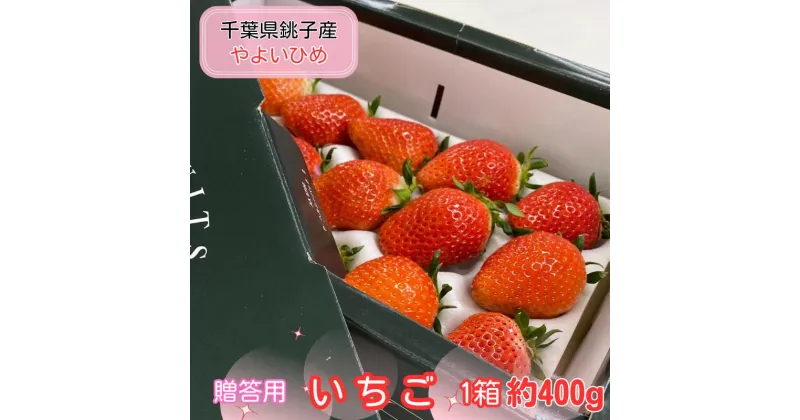 【ふるさと納税】 先行予約 贈答用 いちご やよいひめ 1箱 約400g 化粧箱 いちご イチゴ 苺 人気 定番 食べやすい 果物 フルーツ ストロベリー ジャム 朝摘み 採れたて 新鮮 産直 安心安全 期間限定 送料無料 松岸 神原いちご園 千葉県 銚子市