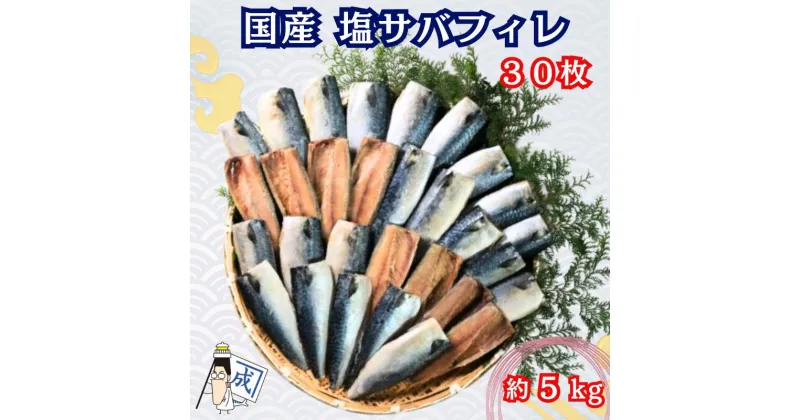 【ふるさと納税】 国産 塩サバフィレ 30枚 約5kg 冷凍 貴重な 国産 天然 塩さば フィーレ 塩サバ フィレ 鯖 さば 塩鯖 塩さば 塩サバ 大きい 国産塩さば 国産塩サバ 国産塩鯖 海鮮 大容量 山盛り 無添加 おつまみ 千葉県 銚子市