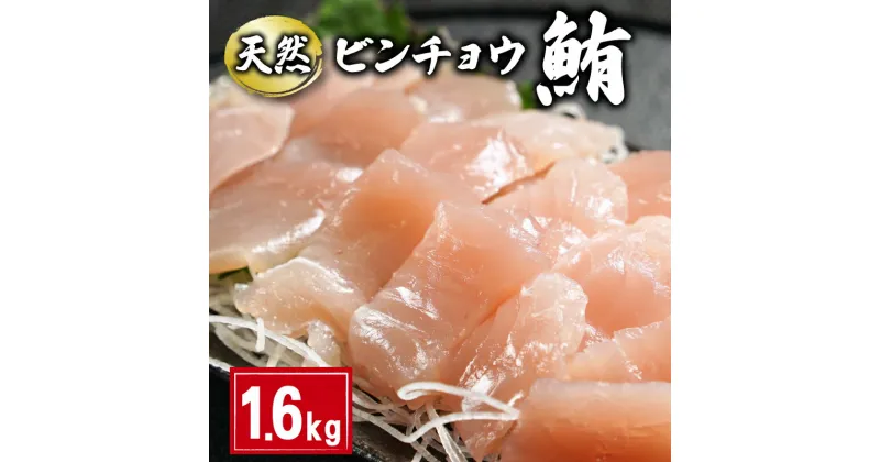 【ふるさと納税】 天然 ビンチョウまぐろ切身 約1.6kg 160g×10パック まぐろ 鮪 刺身 赤身 肉 ビンチョウマグロ ビンチョウ ネギトロ マグロ漬け 海鮮丼 丼 寿司 鉄火丼 手巻き寿司 魚 海鮮 魚介 おつまみ おかず 冷凍 個包装 お取り寄せ 国産 千葉県 銚子市 和田水産