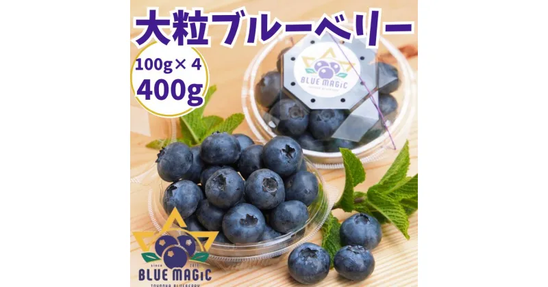 【ふるさと納税】 （先行予約） フレッシュ 大粒ブルーベリー 400 g（100g×4パック） ふるさと納税 ブルーベリー 大粒 特大 フルーツ 果物 くだもの ジャム ヨーグルト チーズケーキ 銚子産 千葉県 銚子 AGRIMOVADO アグリモバード 4月下旬から5月末頃まで発送